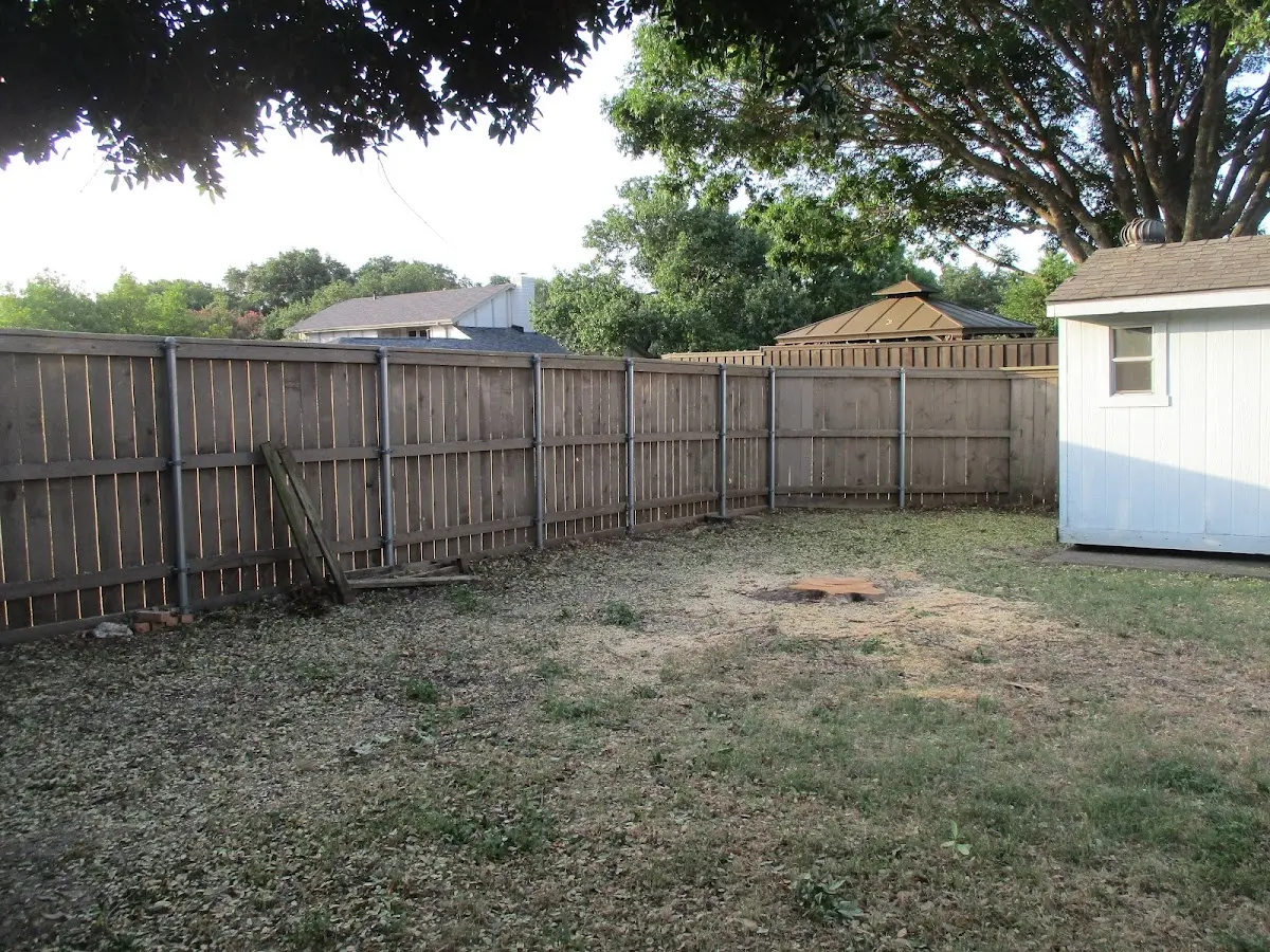 Cleared yard after professional tree removal in Tollhouse